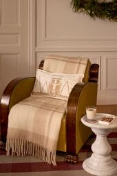 Winter house velvet pillow 30x50, white/light beige