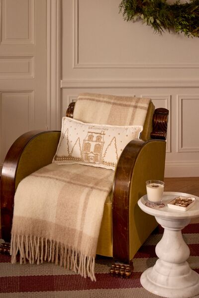 Winter house velvet pillow 30x50, white/light beige