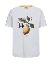 Fruit O-SS Tee, White