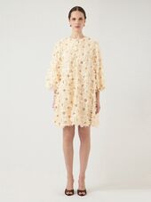Abelone dress, sheer bliss