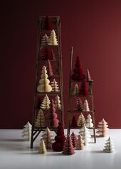 Honeycomb tree moonpine 40cm, ruby