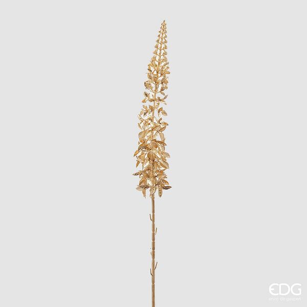 Eremurus brach, gold