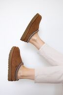 Tasman II, chestnut