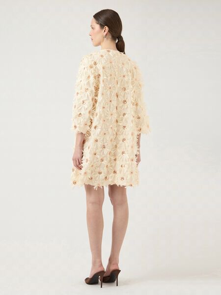 Abelone dress, sheer bliss