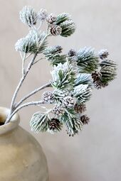 Fleur branch with cedar spruce & pine