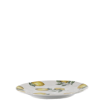 Maison Citron Lunch Plate