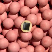 Regular pink pineapple