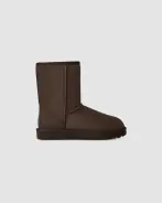 Classic short II, dusted cocoa