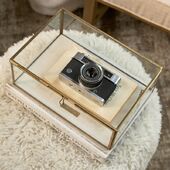 Bovery footstool, white lion