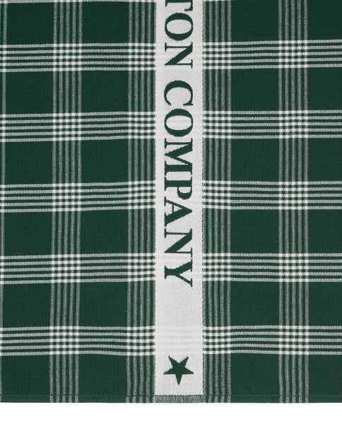 Organic cotton terry kitchen towel, green/white