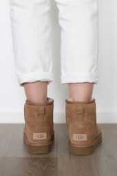 Classic mini II, chestnut