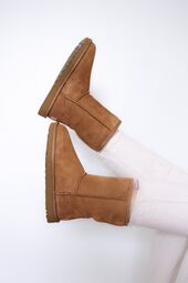 Classic short II, chestnut
