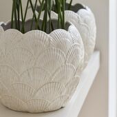 Shell planter