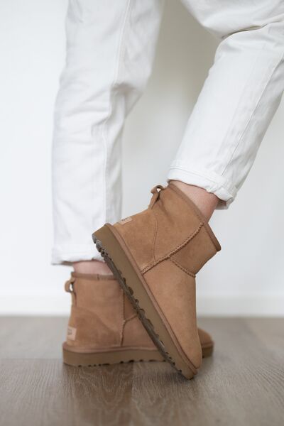 Classic mini II, chestnut